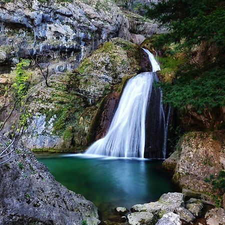 Casa Rural La Piedra Del Cambron Villaverde De Guadalimar Dış mekan fotoğraf