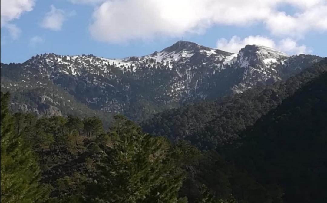 Casa Rural La Piedra Del Cambron Villaverde De Guadalimar Dış mekan fotoğraf