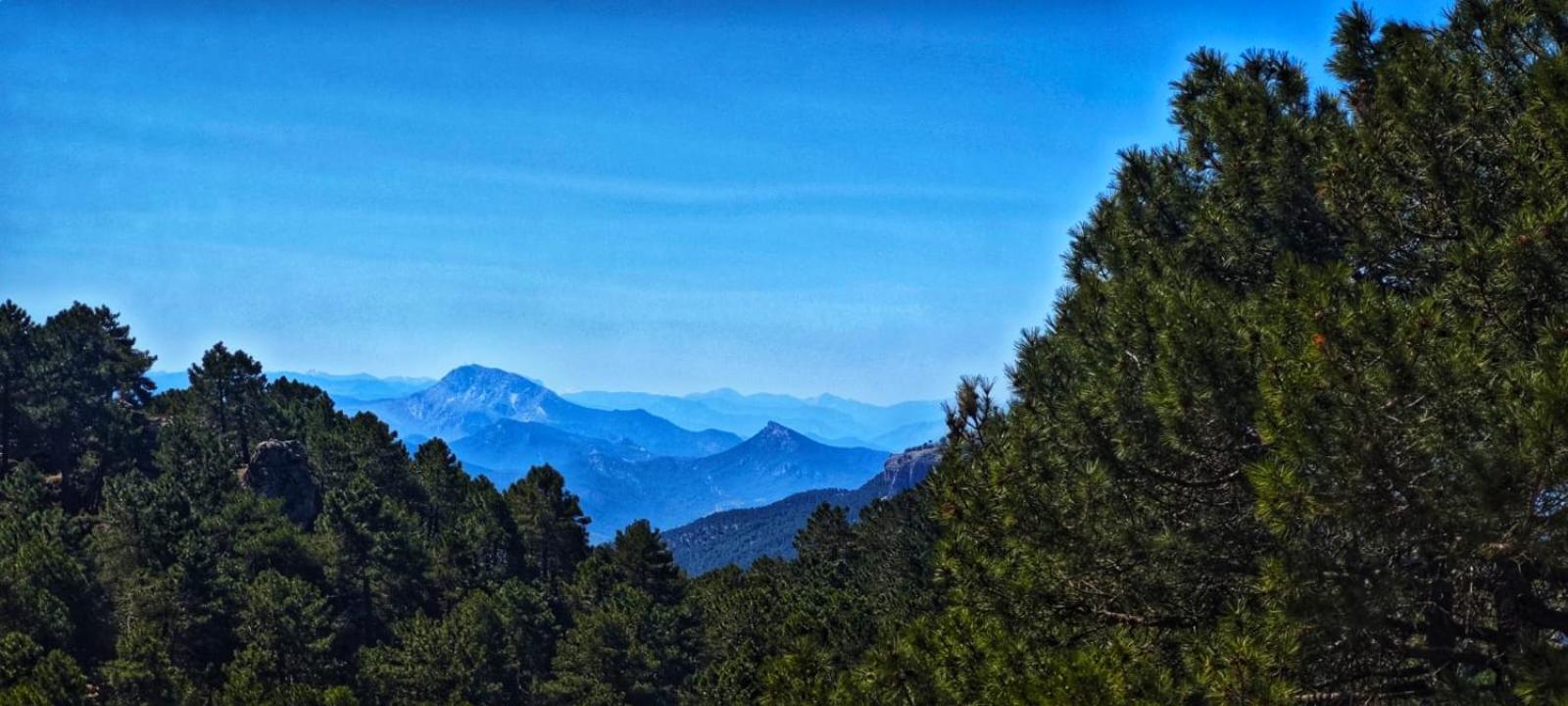 Casa Rural La Piedra Del Cambron Villaverde De Guadalimar Dış mekan fotoğraf