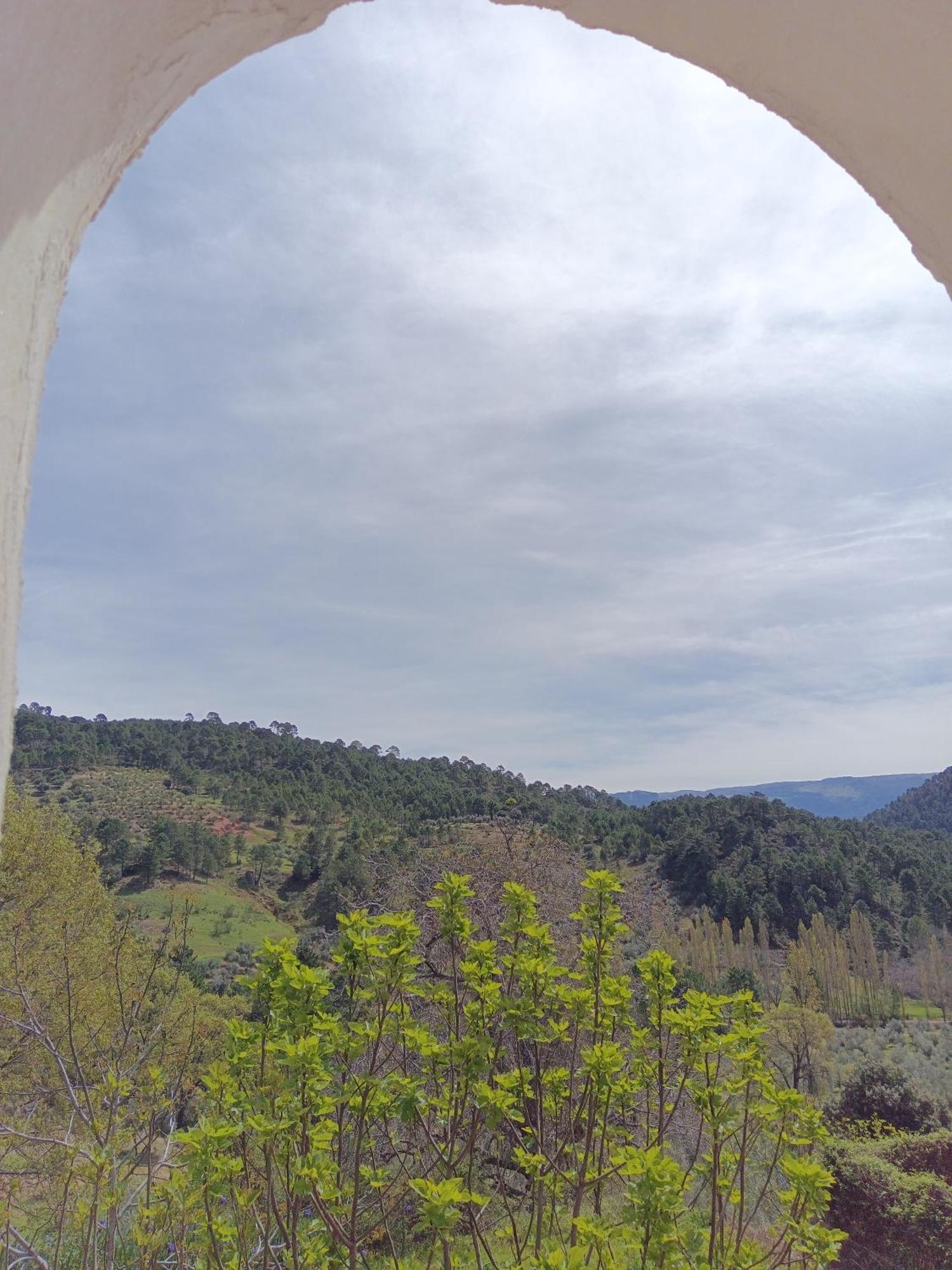 Casa Rural La Piedra Del Cambron Villaverde De Guadalimar Dış mekan fotoğraf